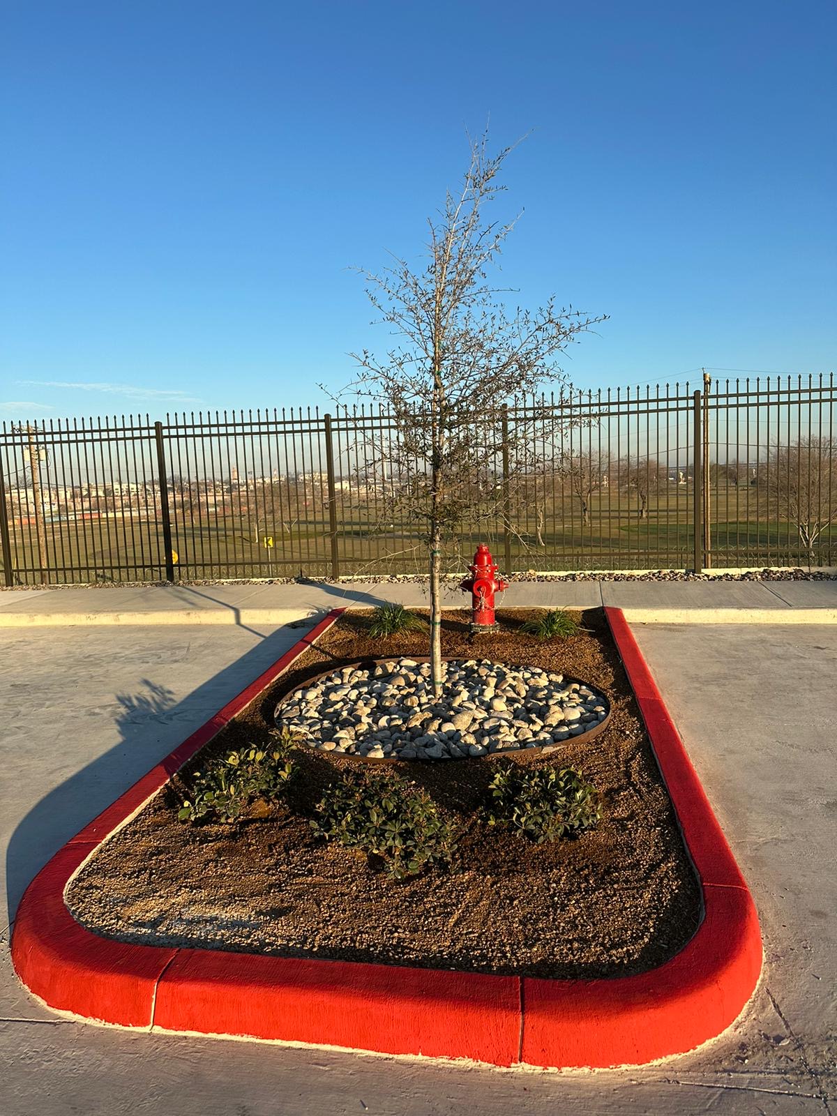 Commercial planter island with a young tree and rock mulch