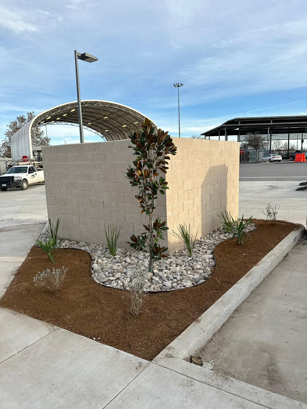 Commercial corner landscaping with a magnolia tree, river rock, and yuccas by RSR Landscaping